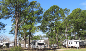 Can You Park an RV on the Street?