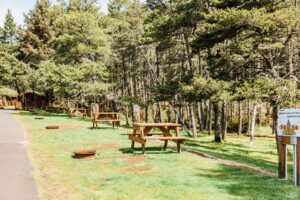 Cape Kiwanda RV Park